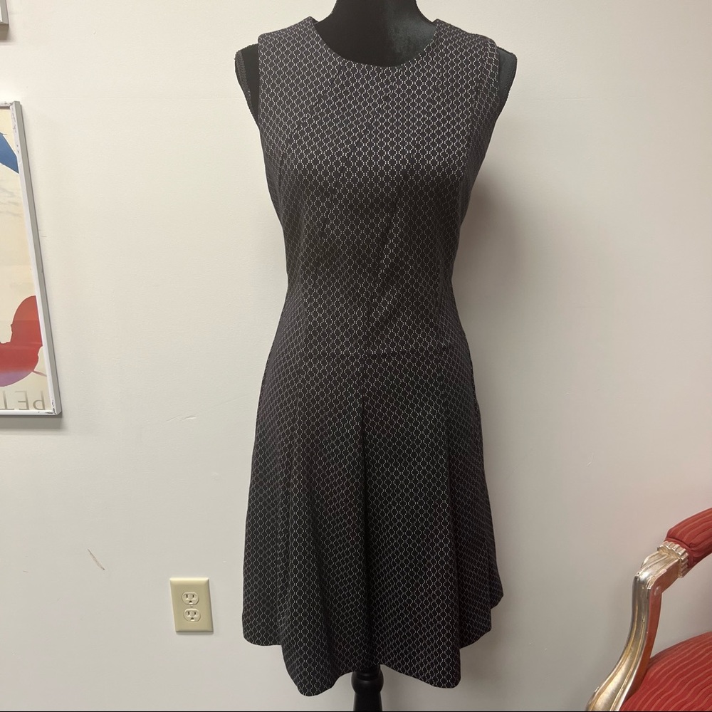 Banana Republic Black and White Dress